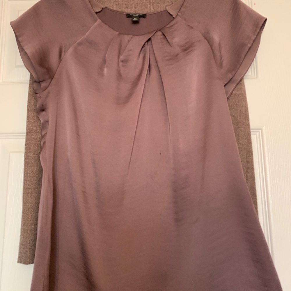 Ann Taylor Cap Sleeve Mauve Blouse 6P